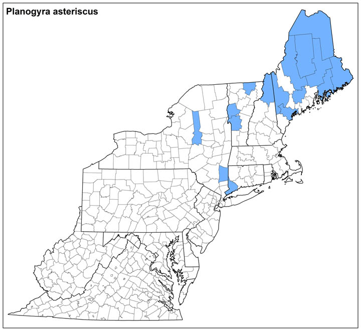Planogyra asteriscus Range Map